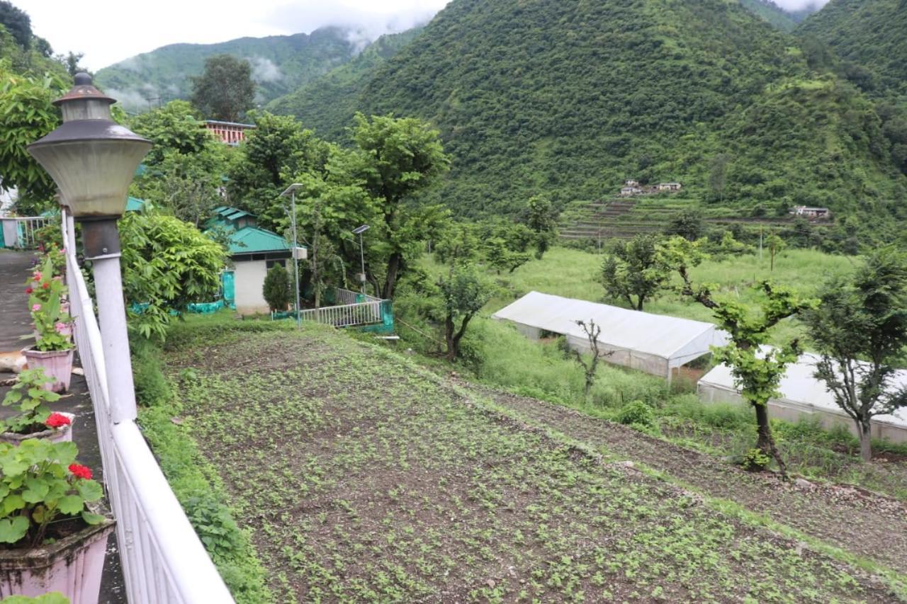 Kalindi Nature Resort Lakhamandal Myani المظهر الخارجي الصورة
